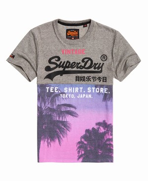 Superdry Ing Shop Panel All Over Print Férfi Pólók Szürke | NEMDS5021